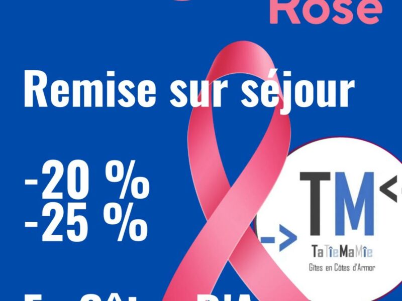 TatîeMamîe, membre du réseau des Hébergeuses solidaires, soutient Octobre Rose en Bretagne