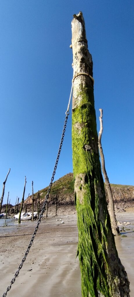 Pieux port Gwin Zegal